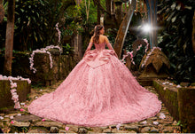 Cargar imagen en el visor de la galería, Vestido Rosa XV Inspirado en Tinkerbell . Ragazza Pregunta Promociones
