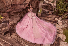 Cargar imagen en el visor de la galería, Vestido Rosa para XV con Transparencia.  Pregunta Promociones Nueva Colección
