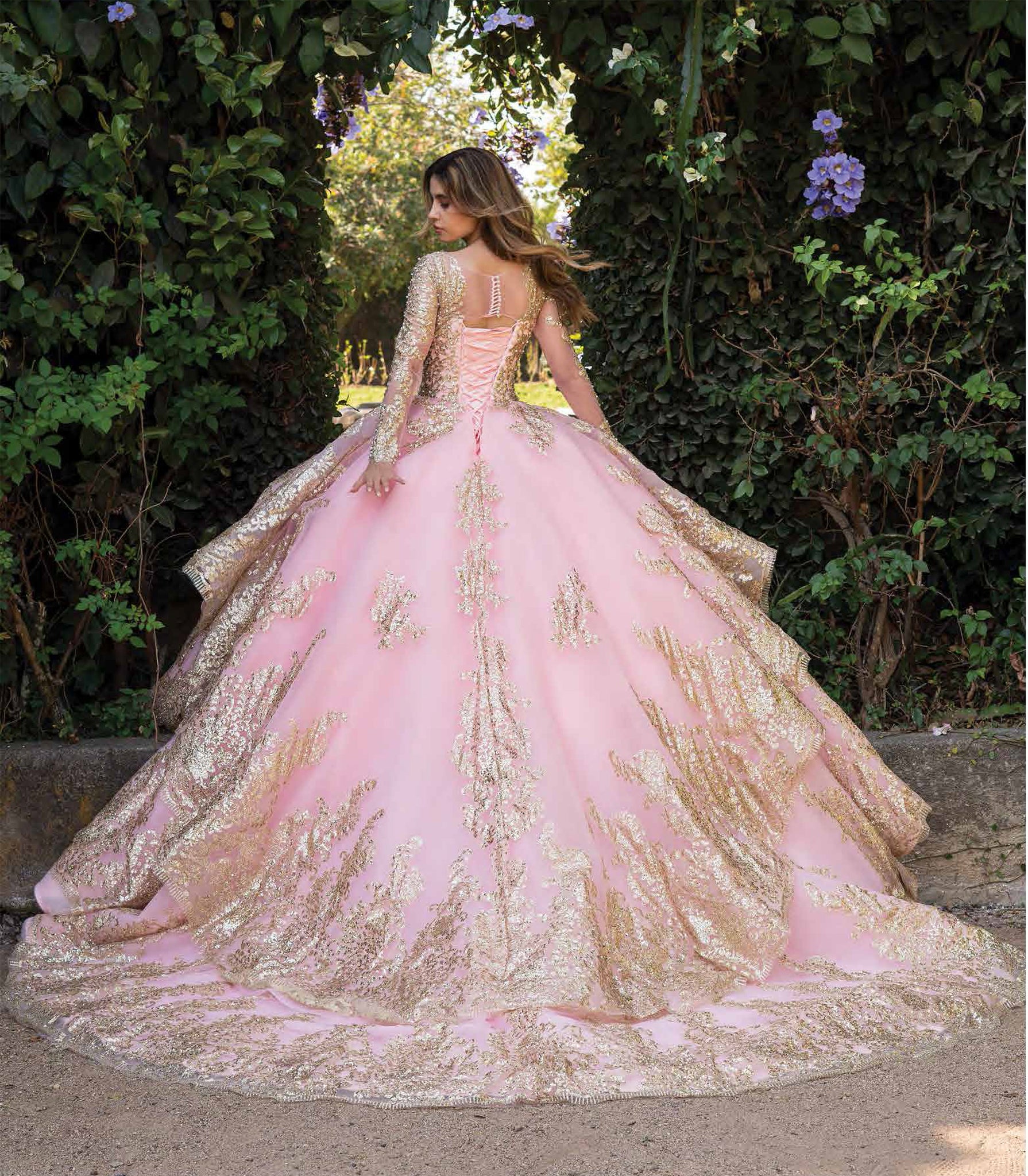 Vestidos Dorados Vestidos De Xv Manga Larga Vestido De Quince Años